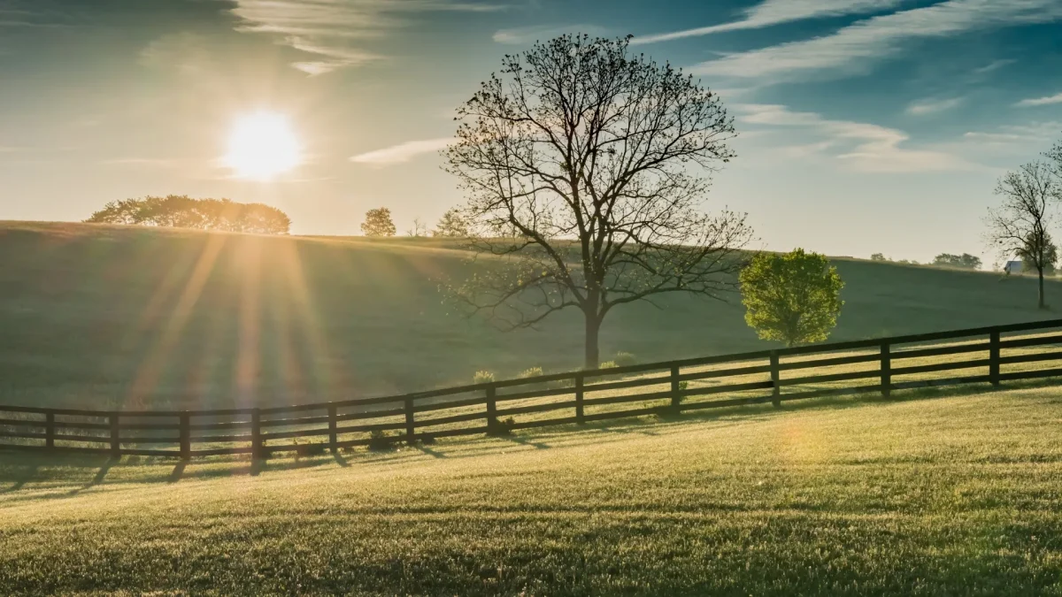Learn how air quality affects auditory health, including inflammation and hearing function, and how to support long-term ear health.